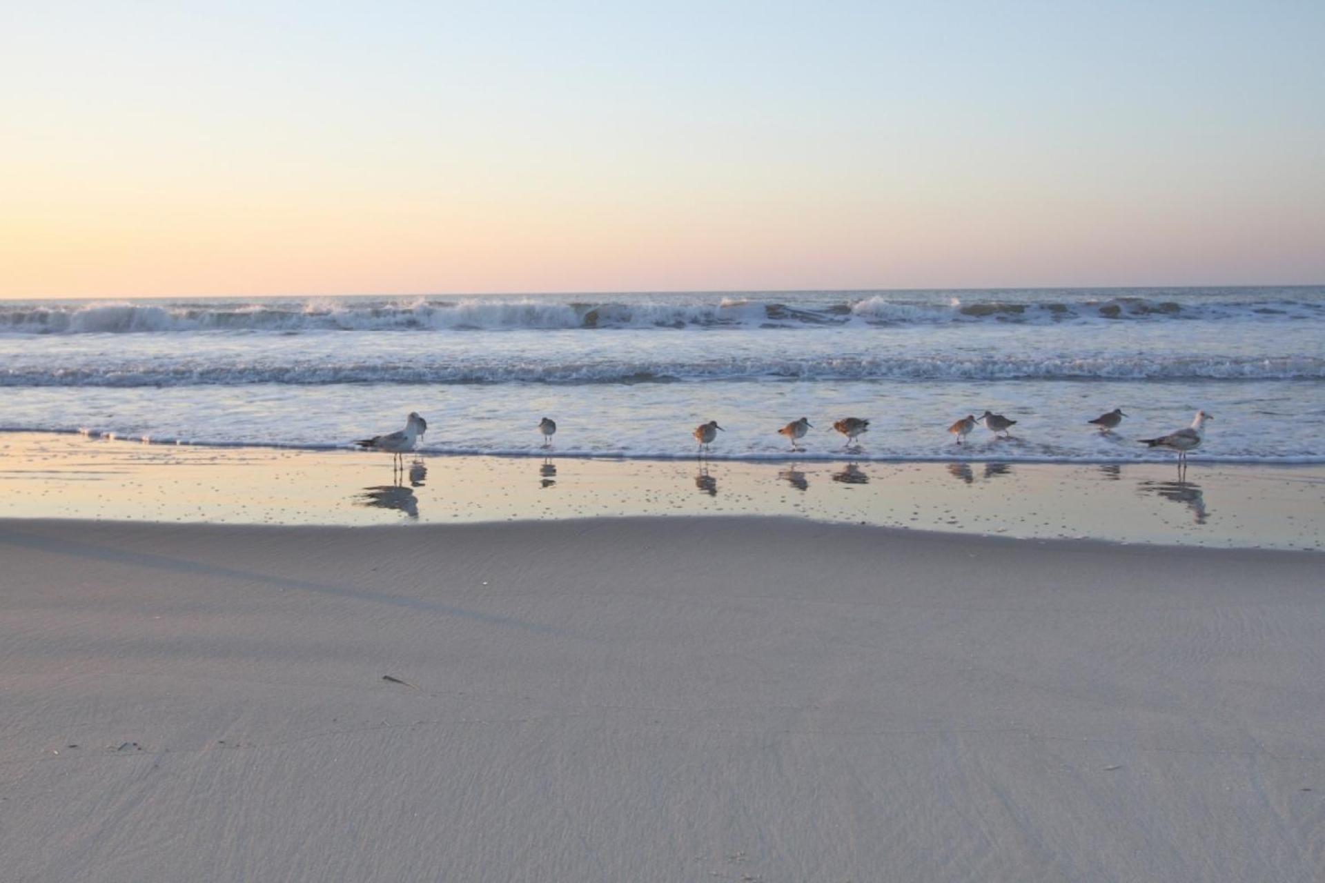 Serenity Folly Beach Extérieur photo
